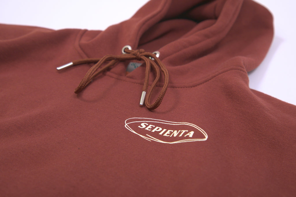 LOVE OF WISDOM HOODIE